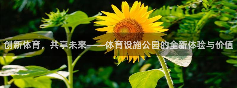 意昂4娱乐平台：创新体育，共享未来——体育设施公园的