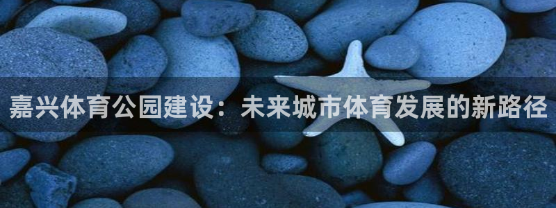 意昂体育4招商电话是多少：嘉兴体育公园建设：未来城市