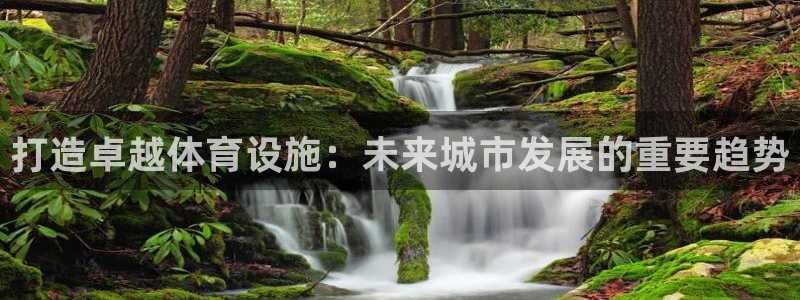 意昂体育4官方客服电话：打造卓越体育设施：未来城市发