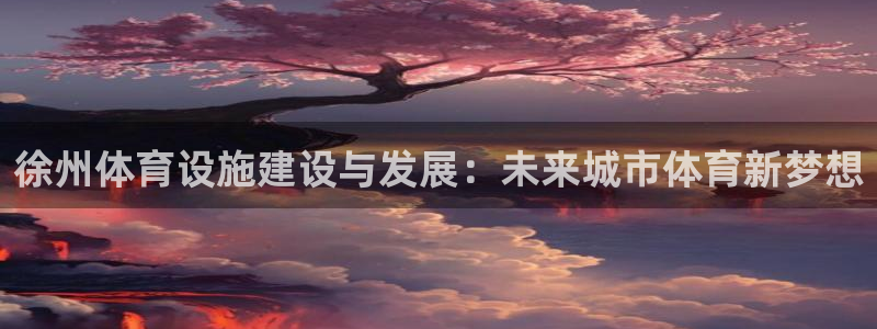 德国意昂4集团：徐州体育设施建设与发展：未来城市体育