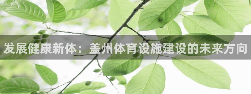 意昂体育4招商电话：发展健康新体：盖州体育设施建设的