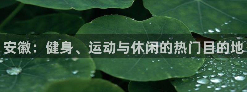 意昂体育4招商电话地址是多少：安徽：健身、运动与休闲