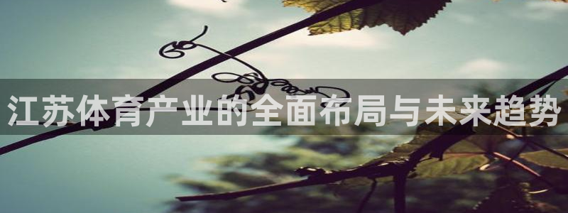 意昂体育4平台是正规平台吗：江苏体育产业的全面布局与