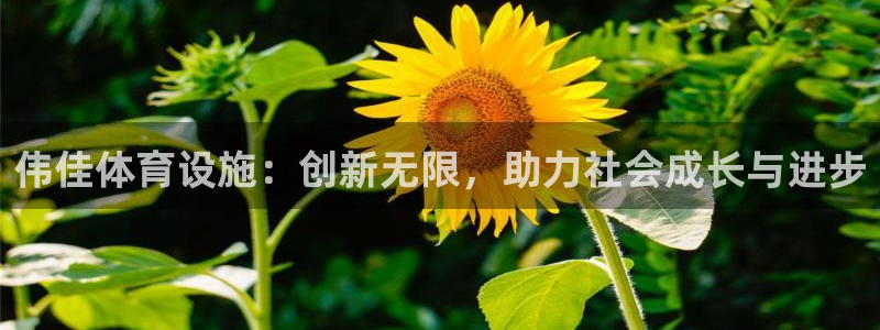 意昂体育4娱乐：伟佳体育设施：创新无限，助力社会成长