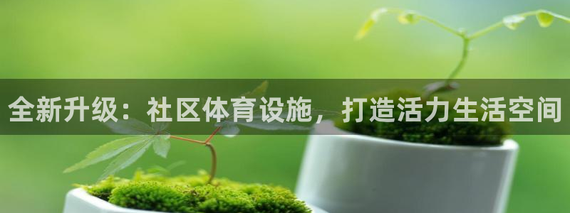意昂体育4平台假的吗是真的吗：全新升级：社区体育设施