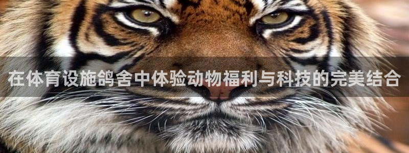 意昂4代理：在体育设施鸽舍中体验动物福利与科技的完美