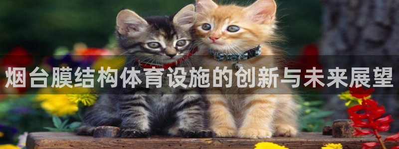 意昂体育4招商电话号码是多少啊：烟台膜结构体育设施的创新与未