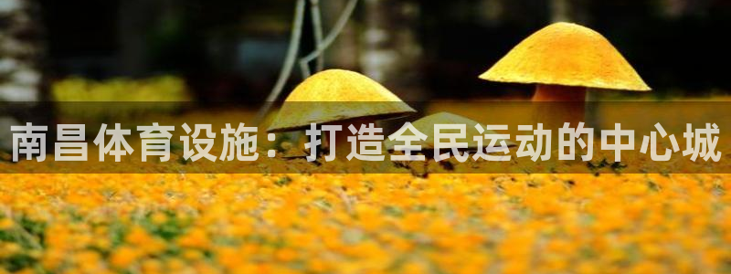 意昂体育4平台假的吗是真的吗：南昌体育设施：打造全民运动的中