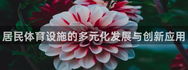 意昂4官网：居民体育设施的多元化发展与创新应用