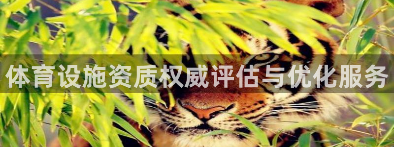 意昂体育4招商电话：体育设施资质权威评估与优化服务