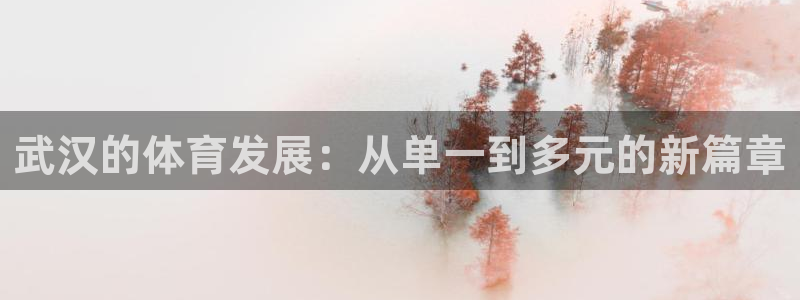 意昂体育4平台假的吗是真的吗吗：武汉的体育发展：从单