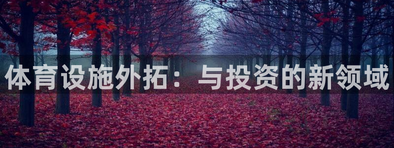 意昂体育4平台注册：体育设施外拓：与投资的新领域