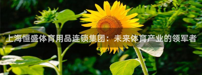 意昂4开户：上海恒盛体育用品连锁集团：未来体育产业的