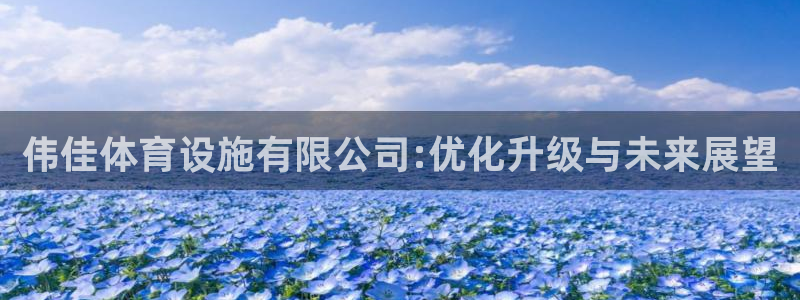 意昂体育4是干嘛的公司：伟佳体育设施有限公司:优化升