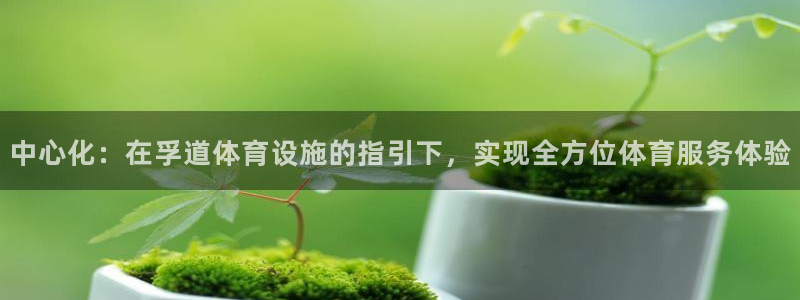 意昂4科技：中心化：在孚道体育设施的指引下，实现全方
