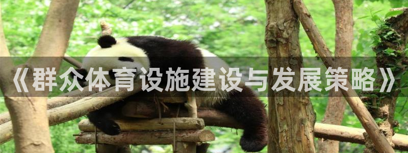 意昂体育4平台是正规平台吗知乎：《群众体育设施建设与
