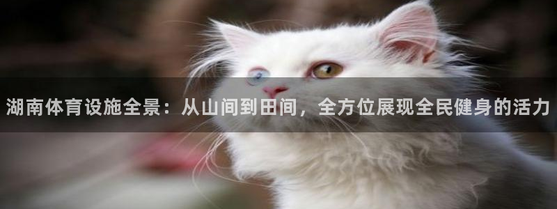 意昂体育4招商电话：湖南体育设施全景：从山间到田间，