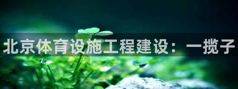 意昂体育4联系电话