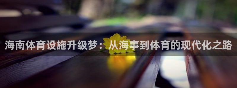意昂4集团：海南体育设施升级梦：从海事到体育的现代化
