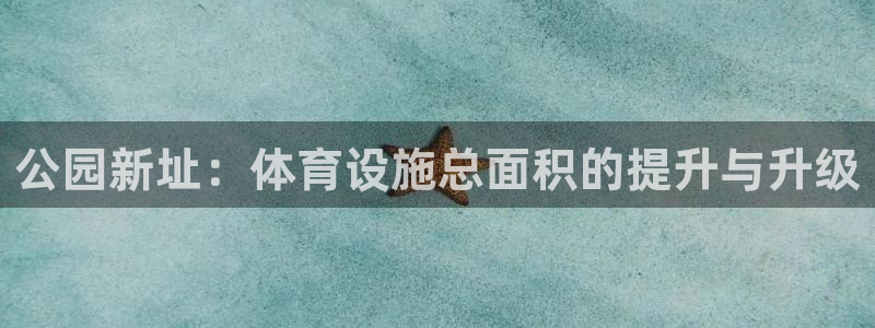 意昂体育4软件：公园新址：体育设施总面积的提升与升级