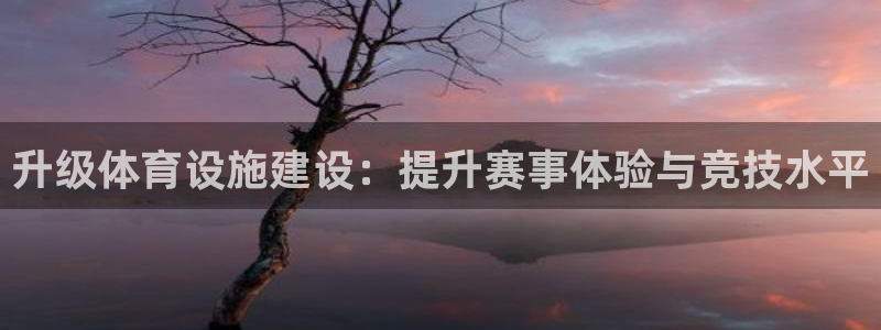 意昂4娱乐网站：升级体育设施建设：提升赛事体验与竞技