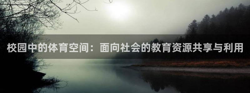 意昂体育4是干嘛的公司：校园中的体育空间：面向社会的