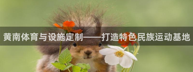 意昂体育4联系电话：黄南体育与设施定制——打造特色民
