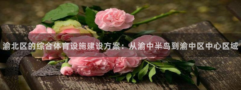 意昂4娱乐网站：渝北区的综合体育设施建设方案：从渝中