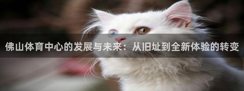 意昂体育4注册：佛山体育中心的发展与未来：从旧址到全