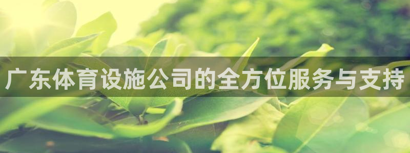意昂4娱乐代理怎么样：广东体育设施公司的全方位服务与