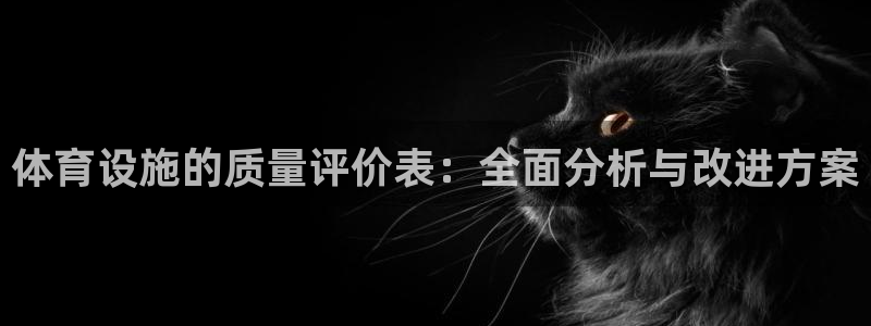 意昂体育4开户：体育设施的质量评价表：全面分析与改进