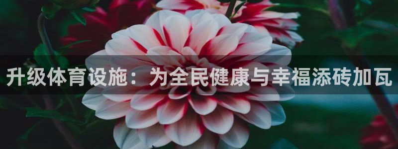 意昂4五金厂：升级体育设施：为全民健康与幸福添砖加瓦