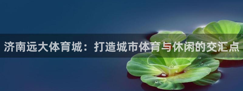 意昂体育4开户：济南远大体育城：打造城市体育与休闲的