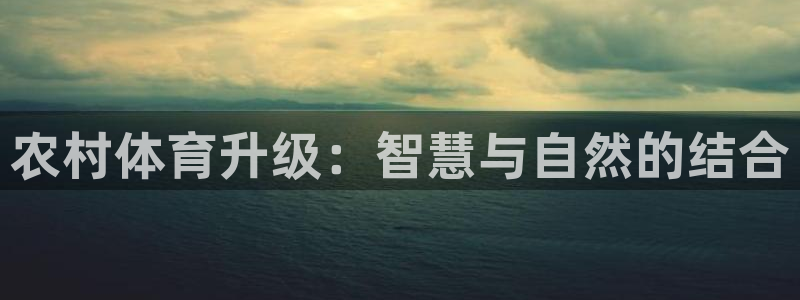 意昂体育4平台假的吗是真的吗：农村体育升级：智慧与自