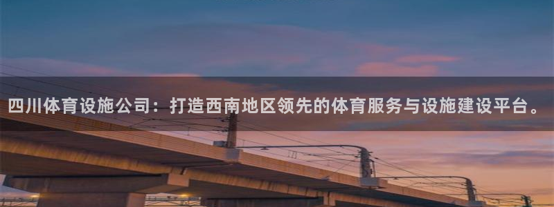 意昂体育4开户：四川体育设施公司：打造西南地区领先的