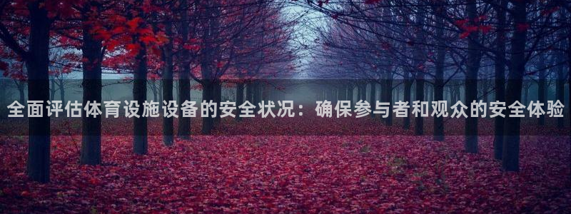 意昂4集团官网首页：全面评估体育设施设备的安全状况：