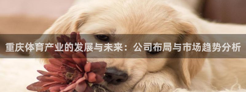 意昂4娱乐代理怎么样：重庆体育产业的发展与未来：公司布局与市 
