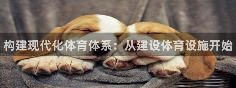 意昂4娱乐代理怎么样：构建现代化体育体系：从建设体育