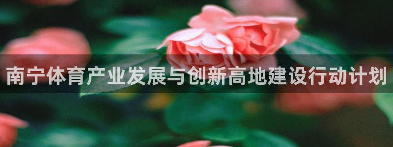 意昂体育4平台注册：南宁体育产业发展与创新高地建设行动计划 