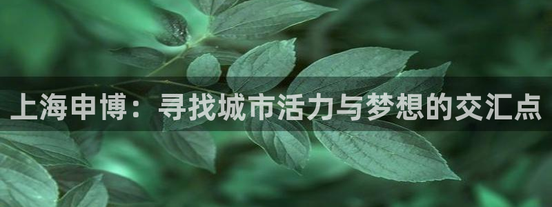 意昂4娱乐：上海申博：寻找城市活力与梦想的交汇点