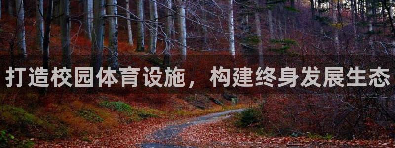 意昂4娱乐网站：打造校园体育设施，构建终身发展生态