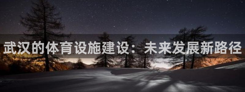 意昂4代理：武汉的体育设施建设：未来发展新路径
