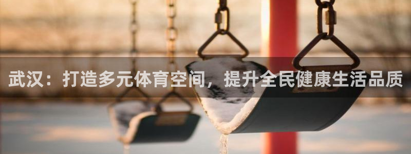 意昂4娱乐40996：武汉：打造多元体育空间，提升全