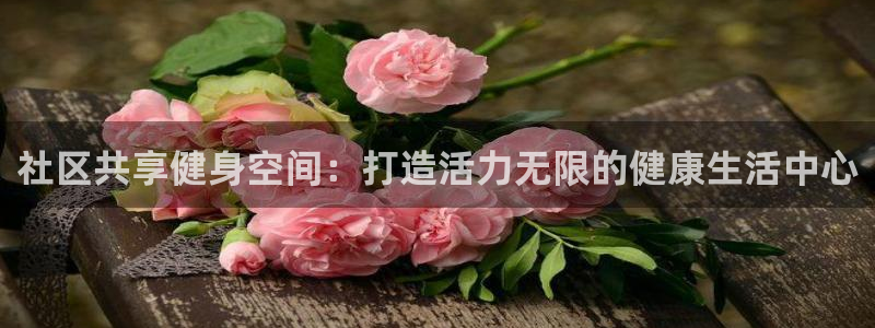海南意昂体育4发展怎么样