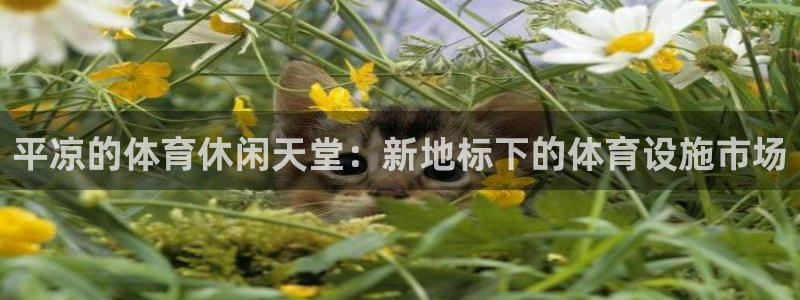 意昂平台体育