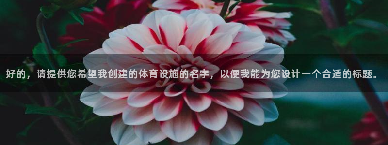 意昂体育4平台注册要钱吗安全吗：好的，请提供您希望我创建的体