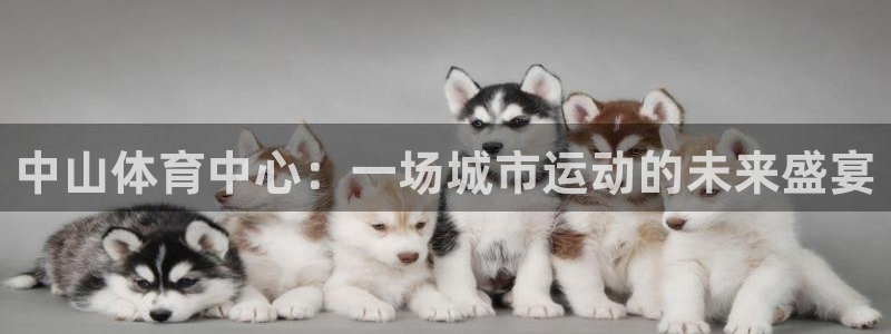 意昂4新能源