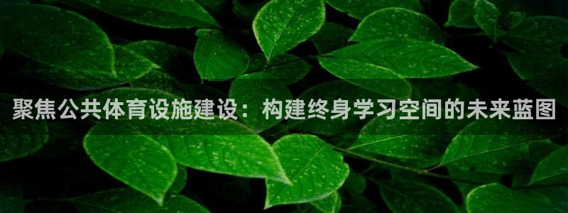 意昂4集团：聚焦公共体育设施建设：构建终身学习空间的未来蓝图