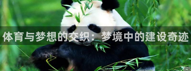 意昂体育4官方客服电话：体育与梦想的交织：梦境中的建设奇迹