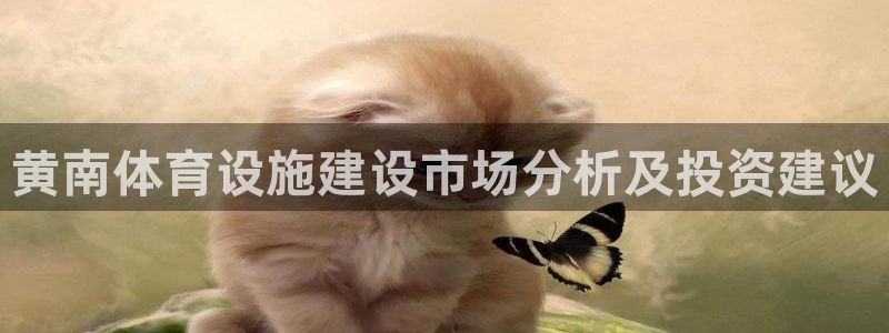 意昂4娱乐40996：黄南体育设施建设市场分析及投资建议